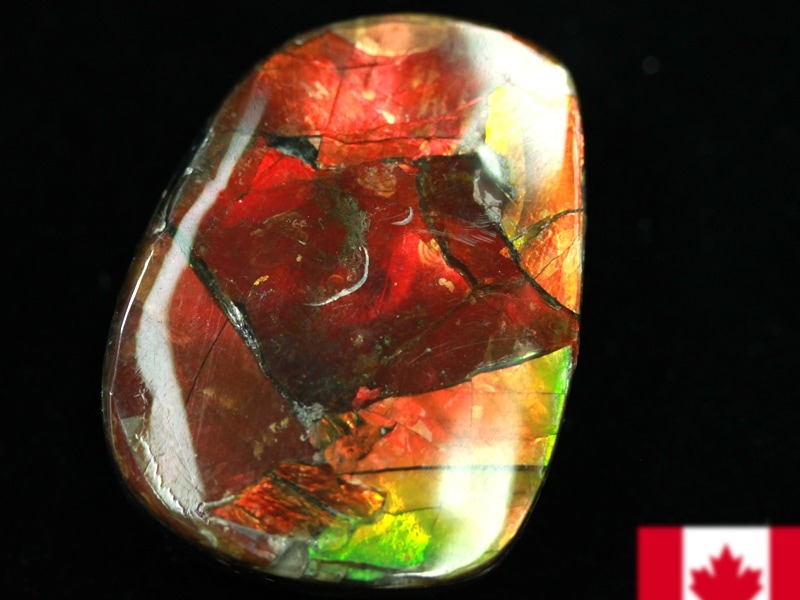 超激レア！虹色に輝くイリデッセンス☆アンモナイト化石宝石☆7000万年