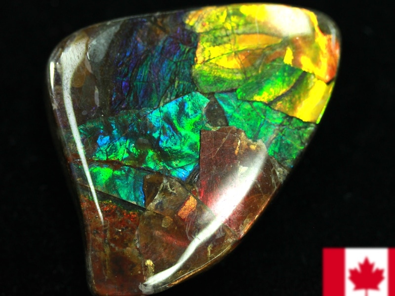 超激レア！虹色に輝くイリデッセンス☆アンモナイト化石宝石☆7000万年