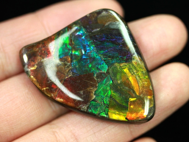 超激レア！虹色に輝くイリデッセンス☆アンモナイト化石宝石☆7000万年