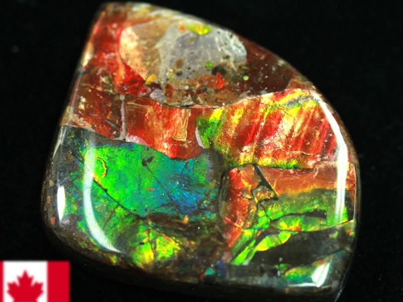 超激レア！虹色に輝くイリデッセンス☆アンモナイト化石宝石☆7000万年  