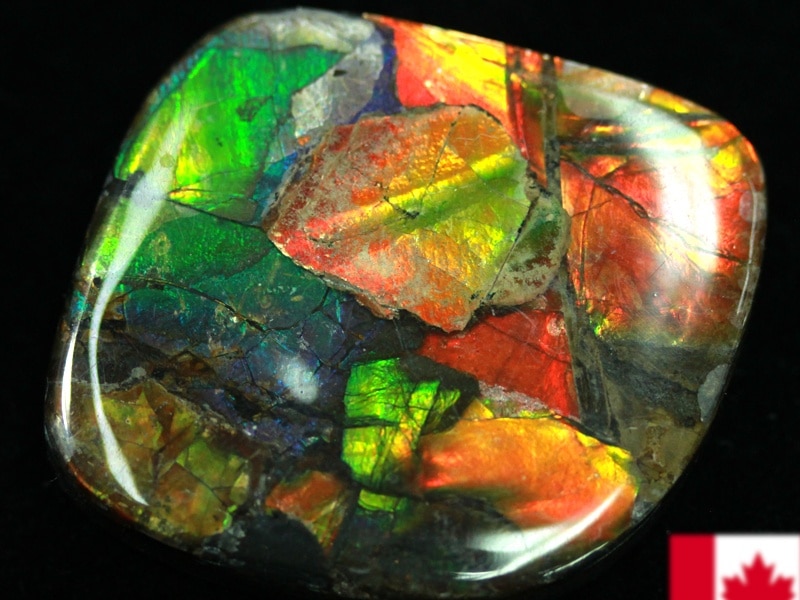 discoscuphites アンモナイト 虹色　化石 原石 鑑賞石 自然石 discoscuphites アンモナイト 虹色 化石 原石 鑑賞石 自然石