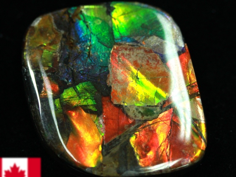 超激レア！虹色に輝くイリデッセンス☆アンモナイト化石宝石☆7000万年