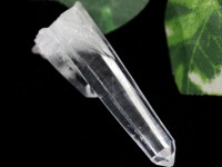 【USAツーソンミネラルショー商品】1点物★古代レムリア人の叡智★刻まれたシード★バーナクル水晶★コロンビア産★天然原石/コロンビアンレムリアンシードクォーツ(レムリアン水晶/Colombian Le