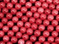 ͵䤫ǥեŷХӡ/˥åɥ/8mm/1Ϣŷ/ѥȡۡڥꥫġ󡦹ŸϽŸ㤤դ