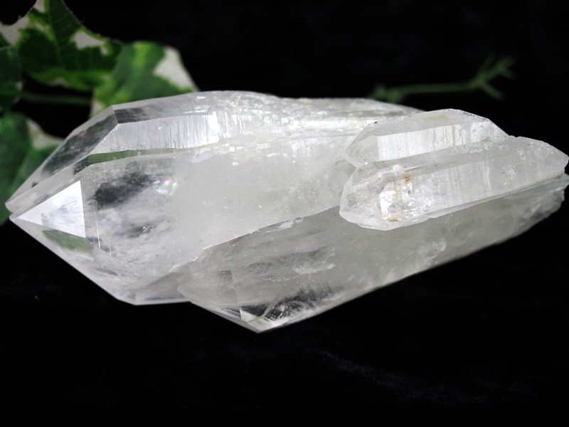 ¡ÚUSA¥Ä¡¼¥½¥ó¥ß¥Í¥é¥ë¥·¥ç¡¼¾¦ÉÊ¡Û1ÅÀʪ¡ú¸ÅÂå¥ì¥à¥ê¥¢¿Í¤Î±ÃÃÒ¡ú¹ï¤Þ¤ì¤¿¥·¡¼¥É¡ú´ÓÆþ¤ê¿å¾½&¥Ä¥¤¥ó&¥ì¥¤¥ó¥Ü¡¼¡ú¥³¥í¥ó¥Ó¥¢»º¡úÅ·Á³¸¶ÀÐ/¥³¥í¥ó¥Ó¥¢¥ó¥ì¥à¥ê¥¢¥ó¥·¡¼¥É¥¯¥©¡¼¥Ä(¥ì¥à¥ê¥¢¥ó¿å¾½/Colombian Lemurian)/Ìó518g/1¸Ä¡Ú¥Í¥³¥Ý¥¹ÉԲġۡÚÅ·Á³ÀÐ/¥Ñ¥ï¡¼¥¹¥È¡¼¥ó¡Û