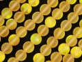 すりガラスのようなフロストタイプ★フレッシュなイエローカラー★パワーストーンビーズ/イエローフロストレインボームーンクリスタル（ルナフラッシュ）/10mm/1連【天然石/パワーストーン】【アメリカツー