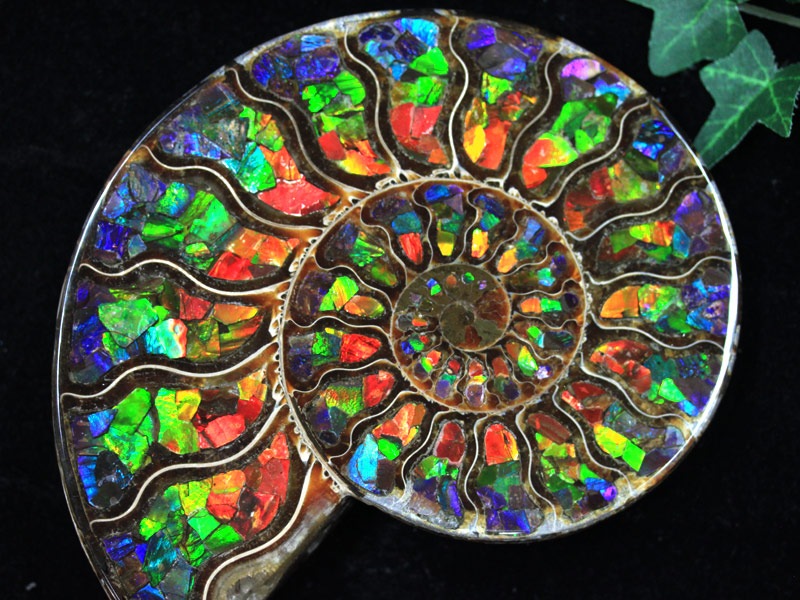 天然石超大粒ピンクモスグラデーションフォッシルコーラルのピアス14kgf フォッシル・コーラル Big Coral 通し穴 91.5cts.&frasl; 化石珊瑚・ルース