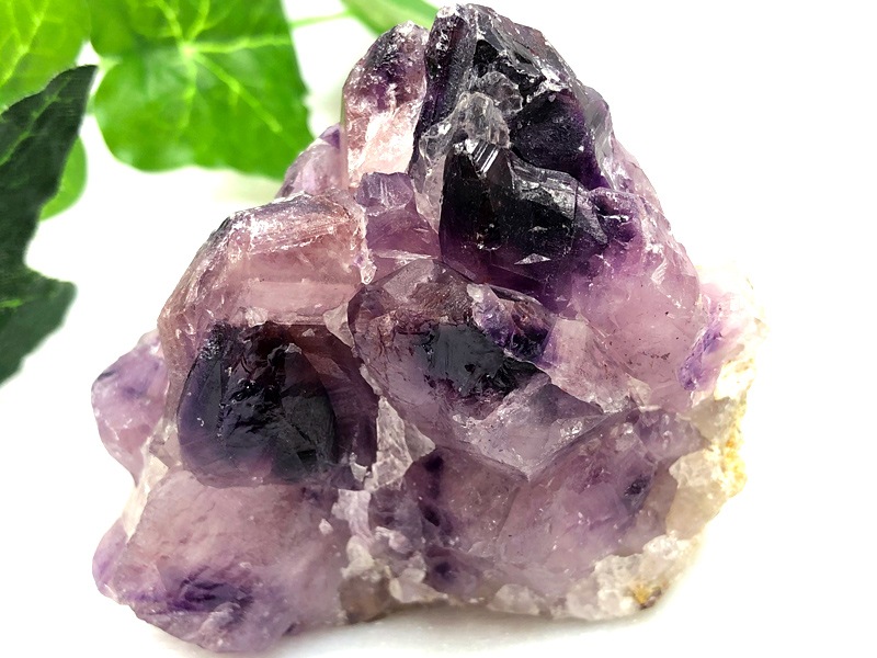 レア シェルストーン ユニコーン bigサイズ 天然石 レア シェルストーン ユニコーン bigサイズ 天然石 【公式通販】