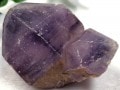 ��1��ʪ��Ķ��쥢�����˾��ʡ������᥸���ȥ��쥹�����(��徽/�����徽/Amethyst)/��174g/1�ġ�ŷ����/�ѥ���ȡ���ۡڥ���ꥫ�ġ����󡦹��Ÿ�����������Ͻ�Ÿ���㤤�դ���