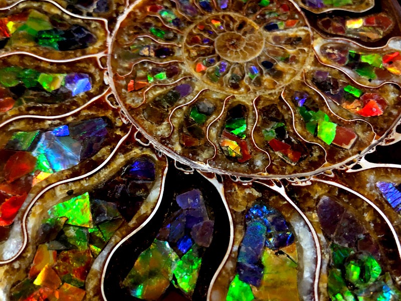 1点物！超激レア！虹色に輝くイリデッセンス☆アンモナイト化石宝石