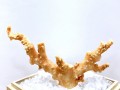 激レア！★完全天然★高品質、日本産★天然石/高知県沖/天然ピンク珊瑚(Coral)/原木/1個【天然石/パワーストーン】【アメリカツーソン・香港展示会・世界各地出展品買い付け】H|コーラル(珊瑚)：原