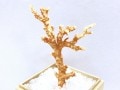 激レア！★完全天然★高品質、日本産★天然石/高知県沖/天然ピンク珊瑚(Coral)/原木/1個【天然石/パワーストーン】【アメリカツーソン・香港展示会・世界各地出展品買い付け】B|コーラル(珊瑚)：原