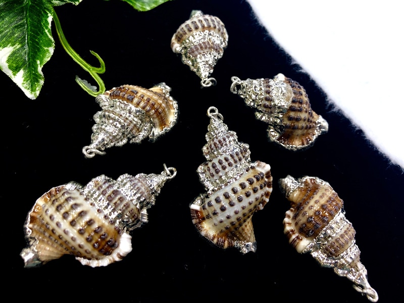 貝殻のような石 楽天市場】海からの贈り物 天然の貝殻チャーム カラフル 全4種 2個 SCH