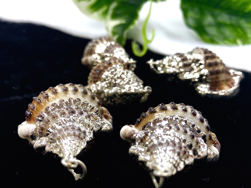 人気！大自然からの贈りもの☆鮮やかな貝殻☆つやつや☆シェルパーツ