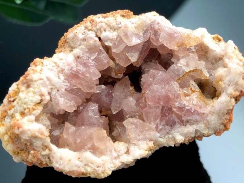 ¡Ú1ÅÀʪ¡Û´õ¾¯¡ª¡úÅ·Á³¤Îȯ¿§¡ú¥¢¥ë¥¼¥ó¥Á¥ó ¥Ñ¥¿¥´¥Ë¥¢»º¡úÅ·Á³ÀÐ/¥Ô¥ó¥¯¥¢¥á¥¸¥¹¥È¸¶ÀÐ¥¯¥é¥¹¥¿¡¼(amethyst/»ç¿å¾½)/1¸Ä¡Ú¥á¡¼¥ëÊØÉԲġۡÚÅ·Á³ÀÐ/¥Ñ¥ï¡¼¥¹¥È¡¼¥ó¡Û¡Ú¥¢¥á¥ê¥«¥Ä¡¼¥½¥ó¡¦¹á¹ÁŸ¼¨²ñ¡¦À¤³¦³ÆÃϽПÉÊÇ㤤ÉÕ¤±¡Û