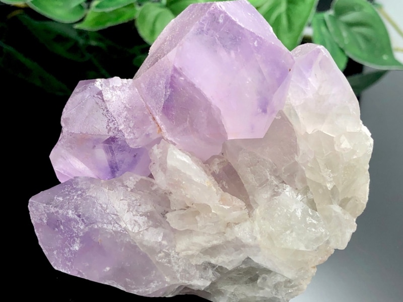 ��1��ʪ�۴����������������Ĺ��ʼ�����ȯ�������եꥫ����ŷ����/���᥸����(amethyst/��徽)���Х��饹����/1�ġڥͥ��ݥ��Բġۡڥ���ꥫ�ġ����󡦹��Ÿ�����������Ͻ�Ÿ���㤤�դ���