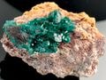 ��1��ʪ�ۥ��󥴻���ŷ������/�������ץơ���(��Ƽ��/Dioptase)/1�ġڥͥ��ݥ��Բġۡ�ŷ����/�ѥ���ȡ���ۡڥ���ꥫ�ġ����󡦹��Ÿ�����������Ͻ�Ÿ���㤤�դ���