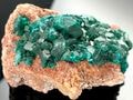 ��1��ʪ�ۥ��󥴻���ŷ������/�������ץơ���(��Ƽ��/Dioptase)/1�ġڥͥ��ݥ��Բġۡ�ŷ����/�ѥ���ȡ���ۡڥ���ꥫ�ġ����󡦹��Ÿ�����������Ͻ�Ÿ���㤤�դ���