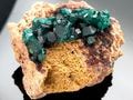 ��1��ʪ�ۥ��󥴻���ŷ������/�������ץơ���(��Ƽ��/Dioptase)/1�ġڥͥ��ݥ��Բġۡ�ŷ����/�ѥ���ȡ���ۡڥ���ꥫ�ġ����󡦹��Ÿ�����������Ͻ�Ÿ���㤤�դ���