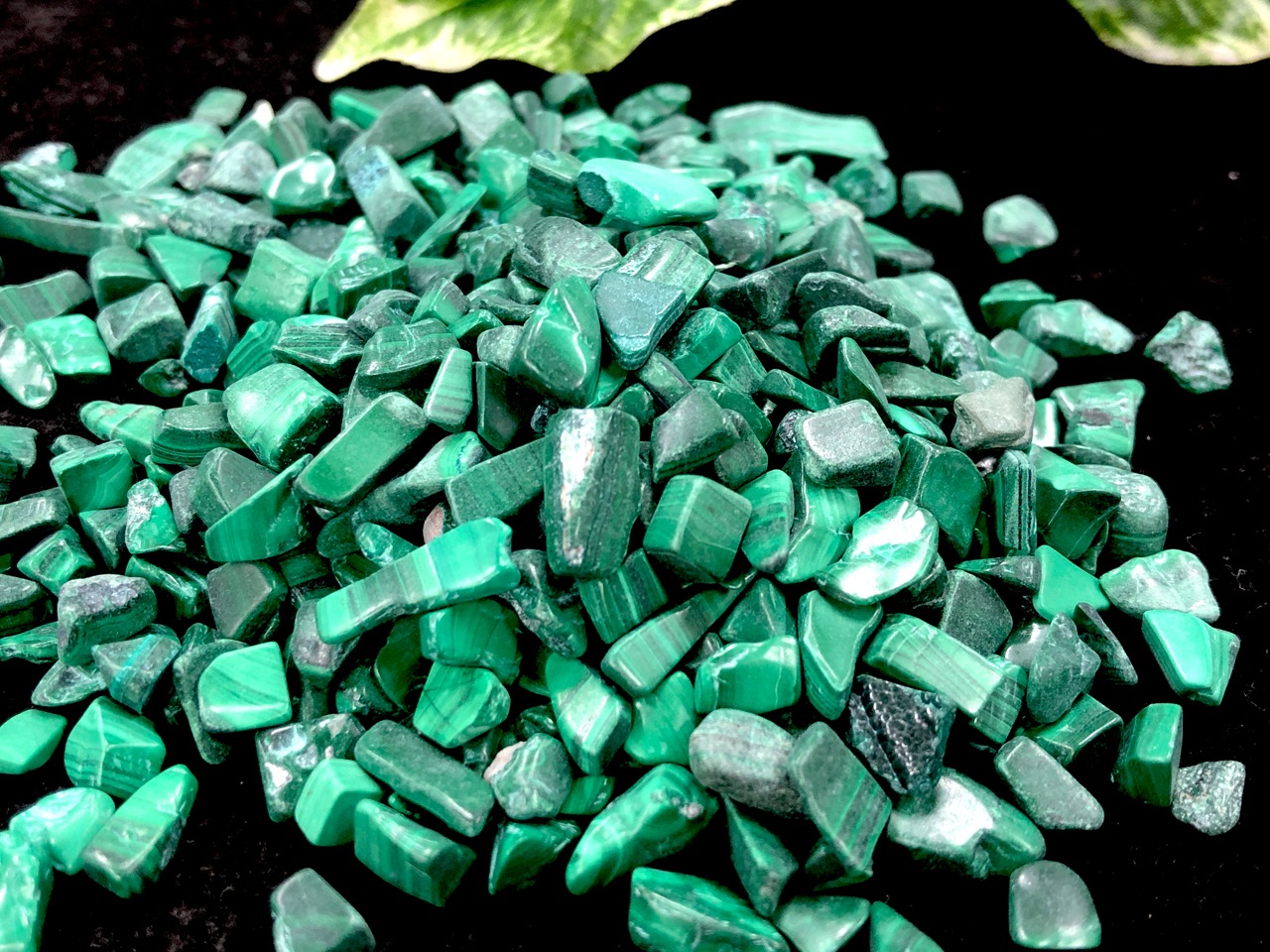 �������١��ޤ�Ǵ�Τ褦�����ͤ���Ĺ����С��ٵ�ʧ�������������С�ŷ���Ф�������å�/�ޥ饫����(malachite/������)/L������/500g/γ��������4-12mm�ڥͥ��ݥ��Բġۡ�ŷ����/�ѥ���ȡ���ۡڥ���ꥫ�ġ����󡦹��Ÿ�����������Ͻ�Ÿ���㤤�դ���