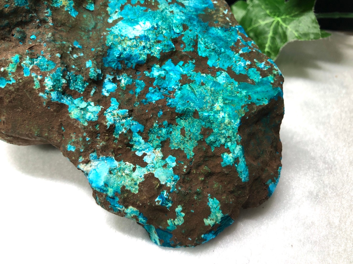 1ʪ֥롼ιȯŷ/turquoise,ȥ륳С/1510g/1ġŷ/ѥȡۡڥꥫġ󡦹ŸϽŸ㤤դ