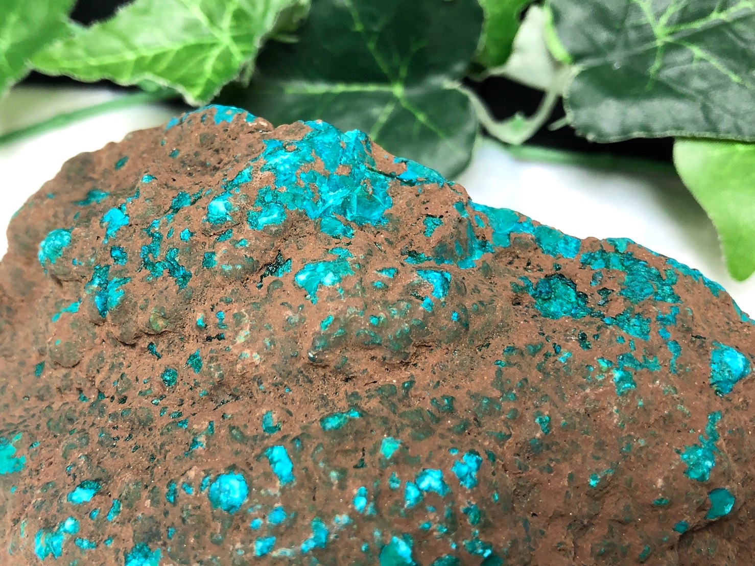 1点物！☆美しいブルーの高発色！☆天然原石/ターコイズ（turquoise