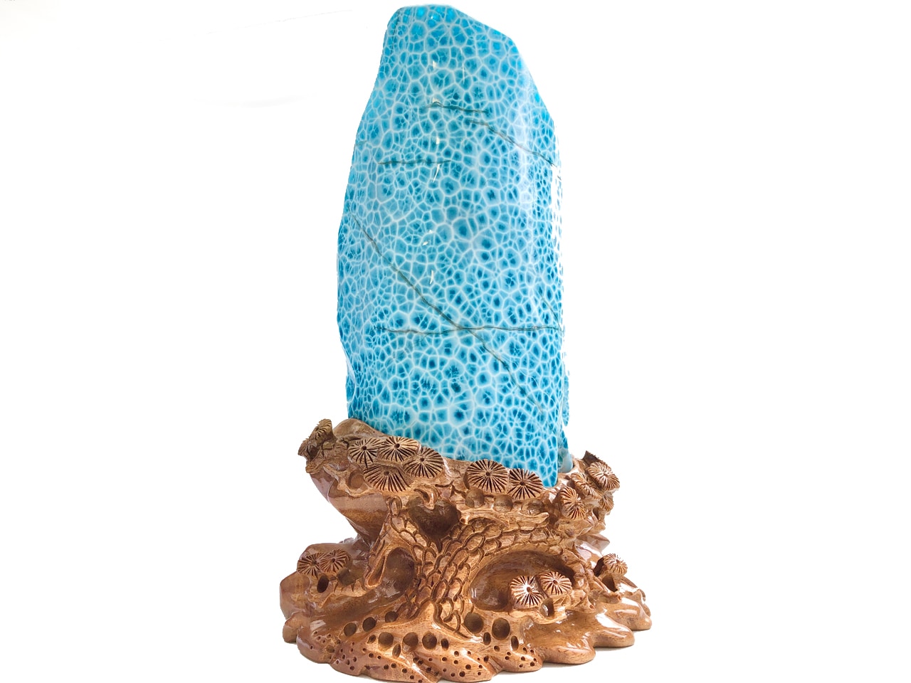 ��1��ʪ��Ķ��쥢������ֳ������С��ɥߥ˥����¹�/Ķ�������ޡ��ʥ֥롼�ڥ��ȥ饤��/������������/Larimar�˥ݥ�å��她�ȡ���/��4.7kg/1�ġ�ŷ����/�ѥ���ȡ���ۡڥ���ꥫ�ġ����󡦹��Ÿ�����������Ͻ�Ÿ���㤤�դ���