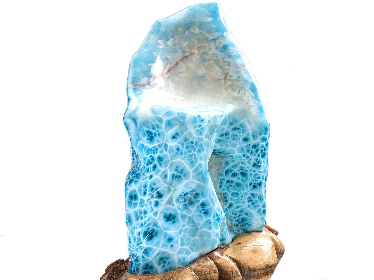 ��1��ʪ��Ķ��쥢������ֳ������С��ɥߥ˥����¹�/Ķ�������ޡ��ʥ֥롼�ڥ��ȥ饤��/������������/Larimar�˥ݥ�å��她�ȡ���/��4.7kg/1�ġ�ŷ����/�ѥ���ȡ���ۡڥ���ꥫ�ġ����󡦹��Ÿ�����������Ͻ�Ÿ���㤤�դ���