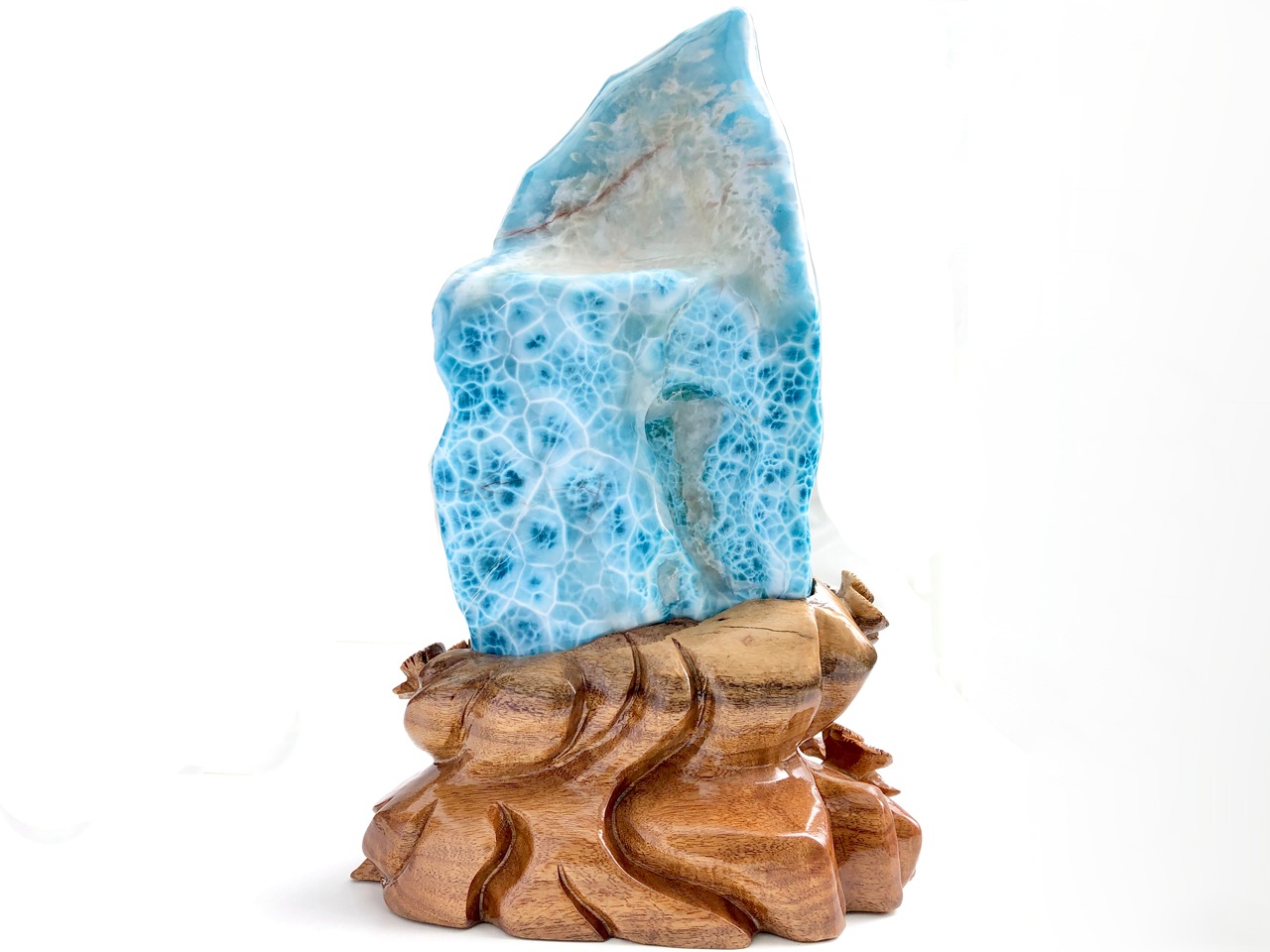 ��1��ʪ��Ķ��쥢������ֳ������С��ɥߥ˥����¹�/Ķ�������ޡ��ʥ֥롼�ڥ��ȥ饤��/������������/Larimar�˥ݥ�å��她�ȡ���/��4.7kg/1�ġ�ŷ����/�ѥ���ȡ���ۡڥ���ꥫ�ġ����󡦹��Ÿ�����������Ͻ�Ÿ���㤤�դ���