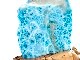 ��1��ʪ��Ķ��쥢������ֳ������С��ɥߥ˥����¹�/Ķ�������ޡ��ʥ֥롼�ڥ��ȥ饤��/������������/Larimar�˥ݥ�å��她�ȡ���/��4.7kg/1�ġ�ŷ����/�ѥ���ȡ���ۡڥ���ꥫ�ġ����󡦹��Ÿ�����������Ͻ�Ÿ���㤤�դ���