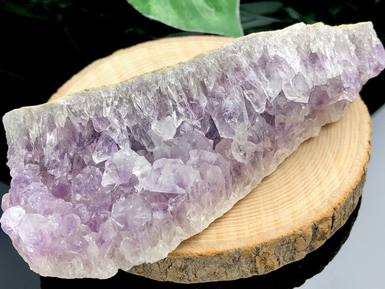 ��1��ʪ�۴����������������Ĺ��ʼ�����ȯ�������եꥫ����ŷ����/���᥸����(amethyst/��徽)���Х��饹����/1�ġڥͥ��ݥ��Բġۡڥ���ꥫ�ġ����󡦹��Ÿ�����������Ͻ�Ÿ���㤤�դ���