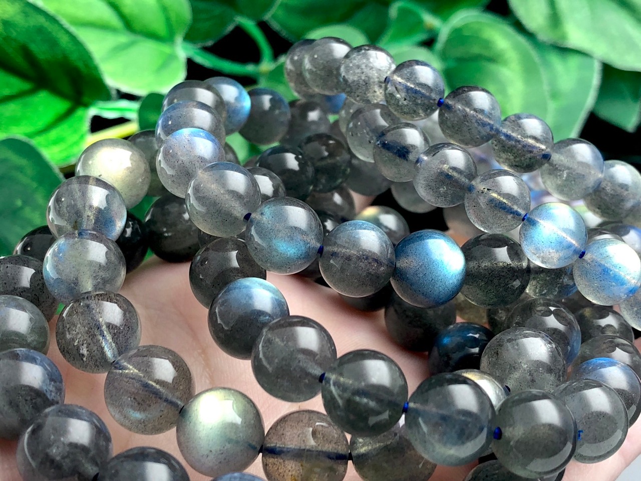 ¥ì¥¢¡ª¡úÈþ¤·¤¤¥ì¥¤¥ó¥Ü¡¼¥·¥é¡¼¤È±ð¡úÅ·Á³ÀХ֥쥹¥ì¥Ã¥È/¥ì¥¤¥ó¥Ü¡¼¥é¥Ö¥é¥É¥é¥¤¥È(Labradorite/Á⳥ĹÀÐ)/¥é¥¦¥ó¥É/Ìó9mm/1ËÜ¡ÚÅ·Á³ÀÐ/¥Ñ¥ï¡¼¥¹¥È¡¼¥ó¡Û¡Ú¥¢¥á¥ê¥«¥Ä¡¼¥½¥ó¡¦¹á¹ÁŸ¼¨²ñ¡¦À¤³¦³ÆÃϽПÉÊÇ㤤ÉÕ¤±¡Û