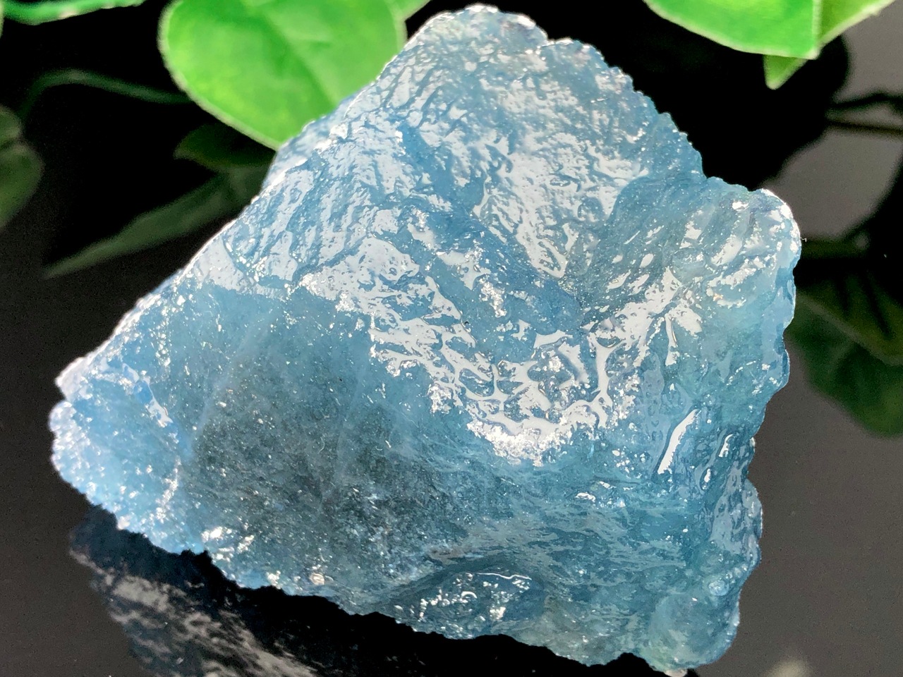 ��1��ʪ�۴�������������ȯ���֥롼������β��á�ŷ������/�������ޥ���С�aquamarine/beryl/�����С�/1�ġ�ŷ����/�ѥ���ȡ���ۡڥ���ꥫ�ġ����󡦹��Ÿ�����������Ͻ�Ÿ���㤤�դ���