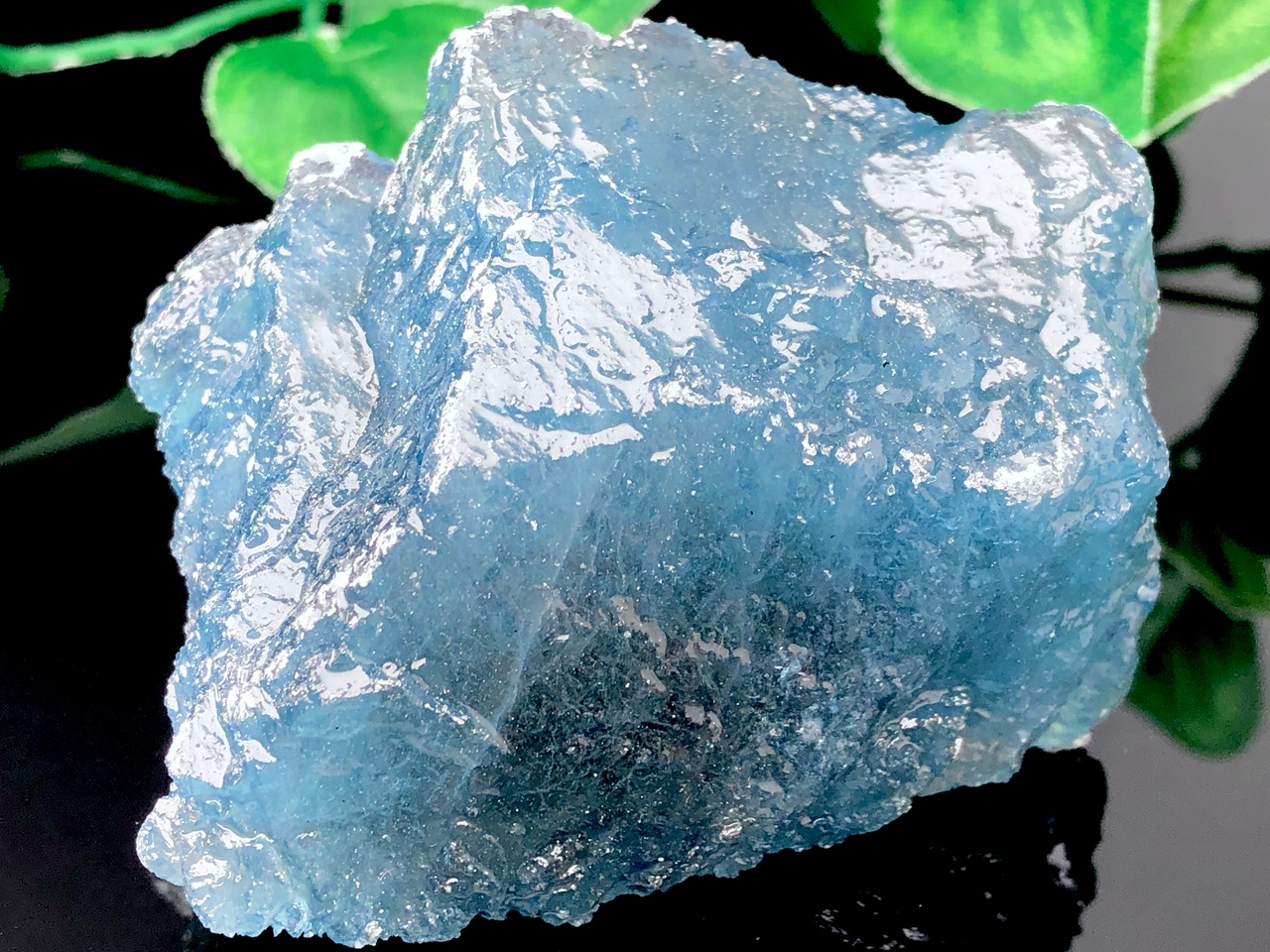 ��1��ʪ�۴�������������ȯ���֥롼������β��á�ŷ������/�������ޥ���С�aquamarine/beryl/�����С�/1�ġ�ŷ����/�ѥ���ȡ���ۡڥ���ꥫ�ġ����󡦹��Ÿ�����������Ͻ�Ÿ���㤤�դ���