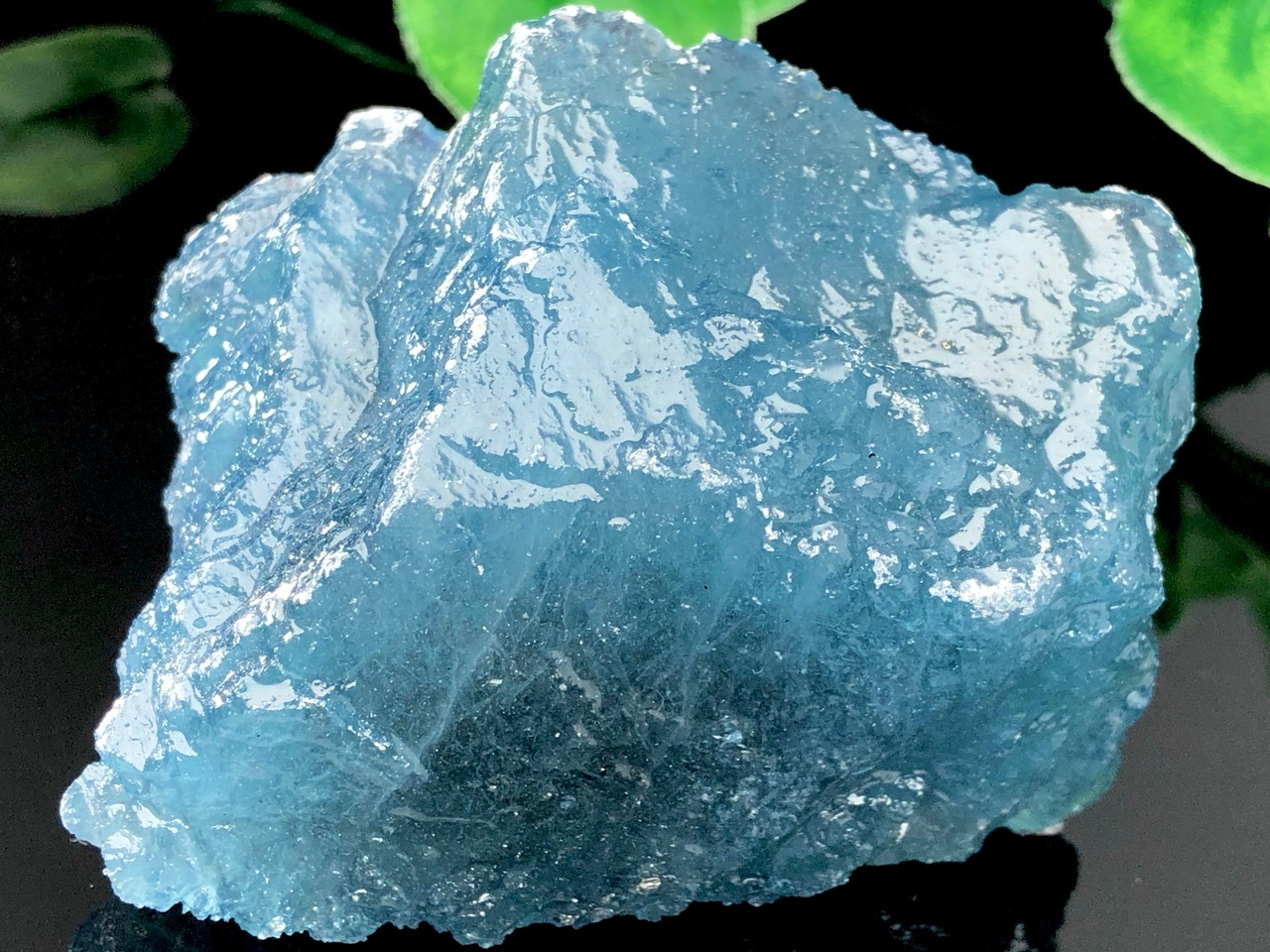 ��1��ʪ�۴�������������ȯ���֥롼������β��á�ŷ������/�������ޥ���С�aquamarine/beryl/�����С�/1�ġ�ŷ����/�ѥ���ȡ���ۡڥ���ꥫ�ġ����󡦹��Ÿ�����������Ͻ�Ÿ���㤤�դ���