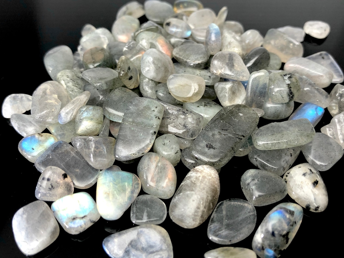 ¿ôÎ̸ÂÄêÆþ²Ù¡ª¡ú¿ÀÈë¤Î¾å¼Á¥é¥Ö¥é¥É¥ì¥Ã¥»¥ó¥¹¡úÅ·Á³ÀФµ¤¶¤ì¥Á¥Ã¥×/¥é¥Ö¥é¥É¥é¥¤¥È¡ÊLabradorite/Á⳥ĹÀСË/L¥µ¥¤¥º/500g/γ¥µ¥¤¥ºÌó5-17mm¡ÚÅ·Á³ÀÐ/¥Ñ¥ï¡¼¥¹¥È¡¼¥ó¡Û¡Ú¥¢¥á¥ê¥«¥Ä¡¼¥½¥ó¡¦¹á¹ÁŸ¼¨²ñ¡¦À¤³¦³ÆÃϽПÉÊÇ㤤ÉÕ¤±¡Û