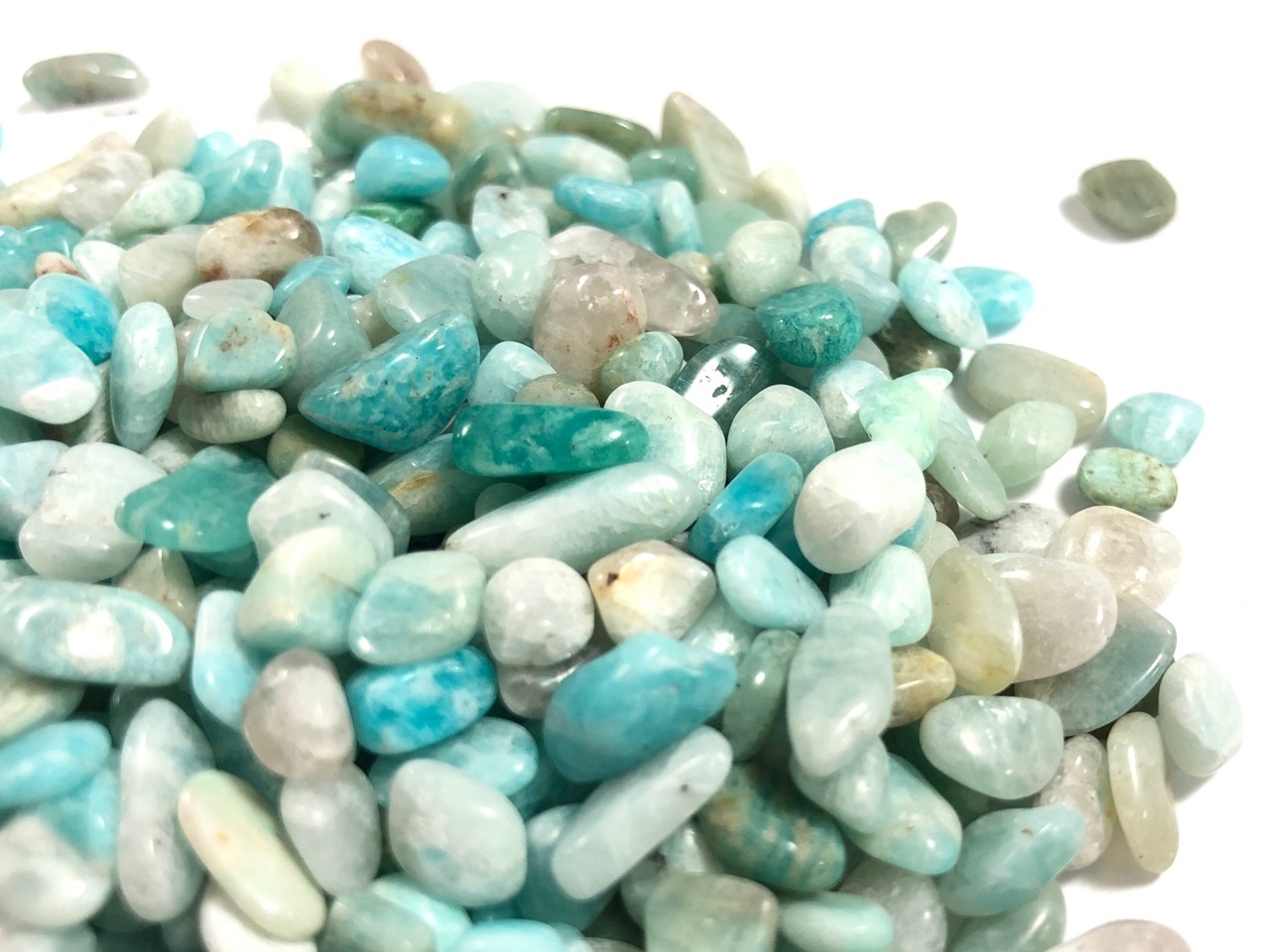 ͥ�������ߤ�֥롼���꡼�󥫥顼���������˾���Сʥۡ��ץ��ȡ���ˡ�ŷ���Ф�������å�/���ޥ��ʥ���/L������/500g/γ��������5-13mm��ŷ����/�ѥ���ȡ���ۡڥ���ꥫ�ġ����󡦹��Ÿ�����������Ͻ�Ÿ���㤤�դ���