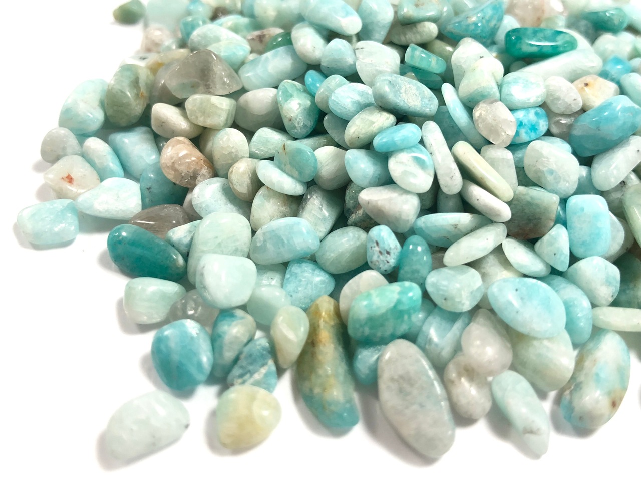 ͥ�������ߤ�֥롼���꡼�󥫥顼���������˾���Сʥۡ��ץ��ȡ���ˡ�ŷ���Ф�������å�/���ޥ��ʥ���/L������/500g/γ��������5-13mm��ŷ����/�ѥ���ȡ���ۡڥ���ꥫ�ġ����󡦹��Ÿ�����������Ͻ�Ÿ���㤤�դ���