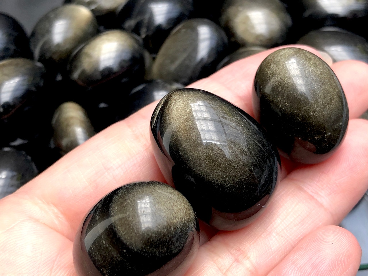 ���饮�顪������ɥ�����ŷ����/����֥�ʤ�����С������С��᤭�С�/������ɥ����󥪥֥��ǥ�����ʥ�����ǥ󥪥֥��ǥ�����/������/obsidian��/1�ġڥͥ��ݥ��Բġۡ�ŷ����/�ѥ���ȡ���ۡڥ���ꥫ�ġ����󡦹��Ÿ�����������Ͻ�Ÿ���㤤�դ�