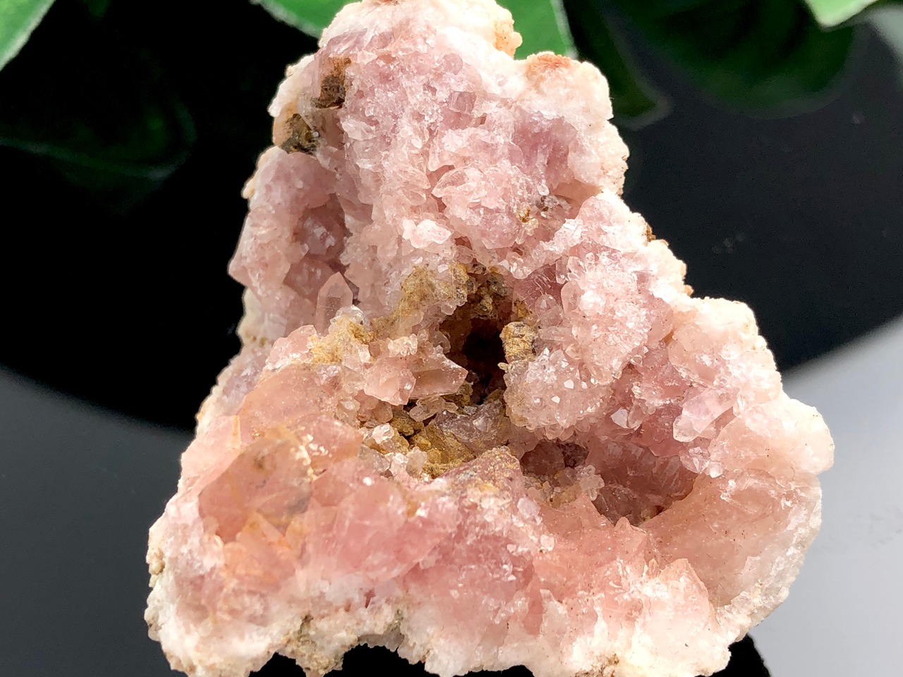 ��1��ʪ�۴�������ŷ����ȯ�������를����� �ѥ����˥�����ŷ����/�ԥ󥯥��᥸���ȸ��Х��饹����(amethyst/��徽)/1�ġڥ᡼�����Բġۡ�ŷ����/�ѥ���ȡ���ۡڥ���ꥫ�ġ����󡦹��Ÿ�����������Ͻ�Ÿ���㤤�դ���