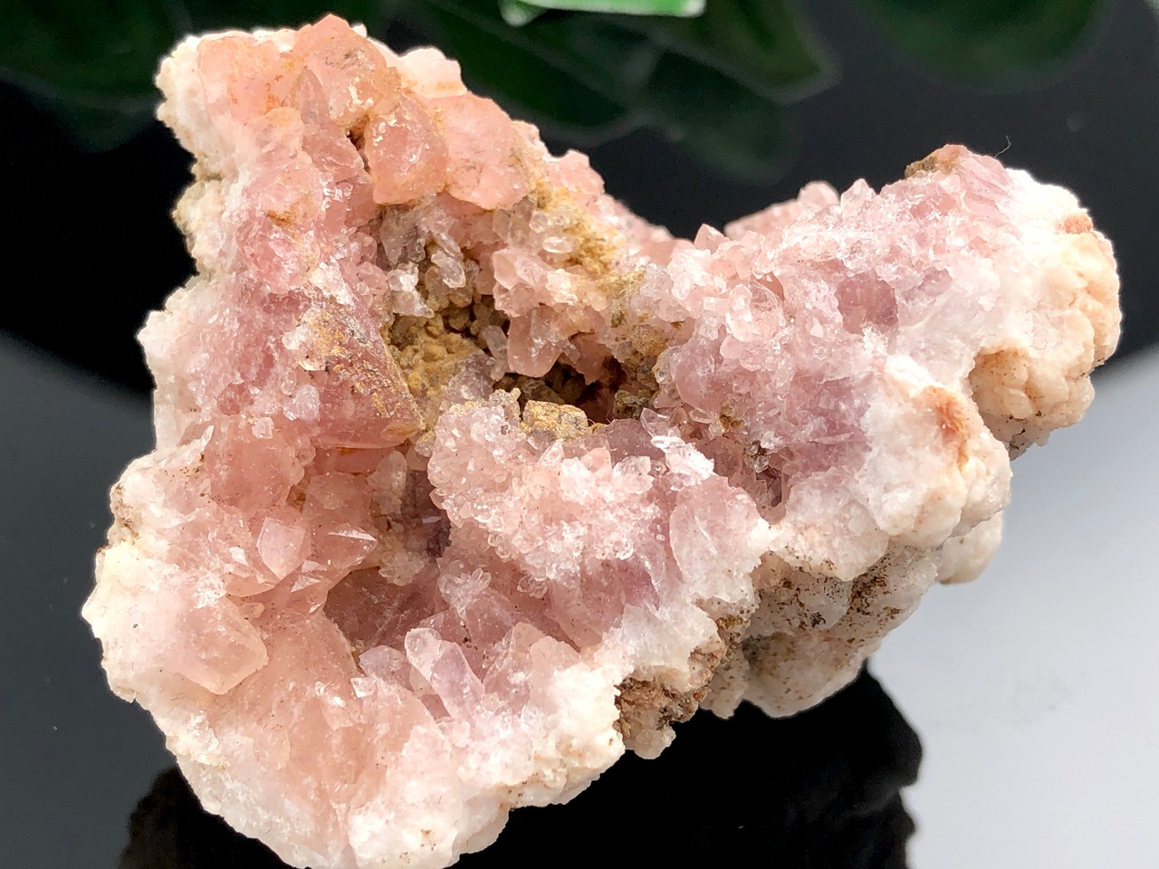 ��1��ʪ�۴�������ŷ����ȯ�������를����� �ѥ����˥�����ŷ����/�ԥ󥯥��᥸���ȸ��Х��饹����(amethyst/��徽)/1�ġڥ᡼�����Բġۡ�ŷ����/�ѥ���ȡ���ۡڥ���ꥫ�ġ����󡦹��Ÿ�����������Ͻ�Ÿ���㤤�դ���