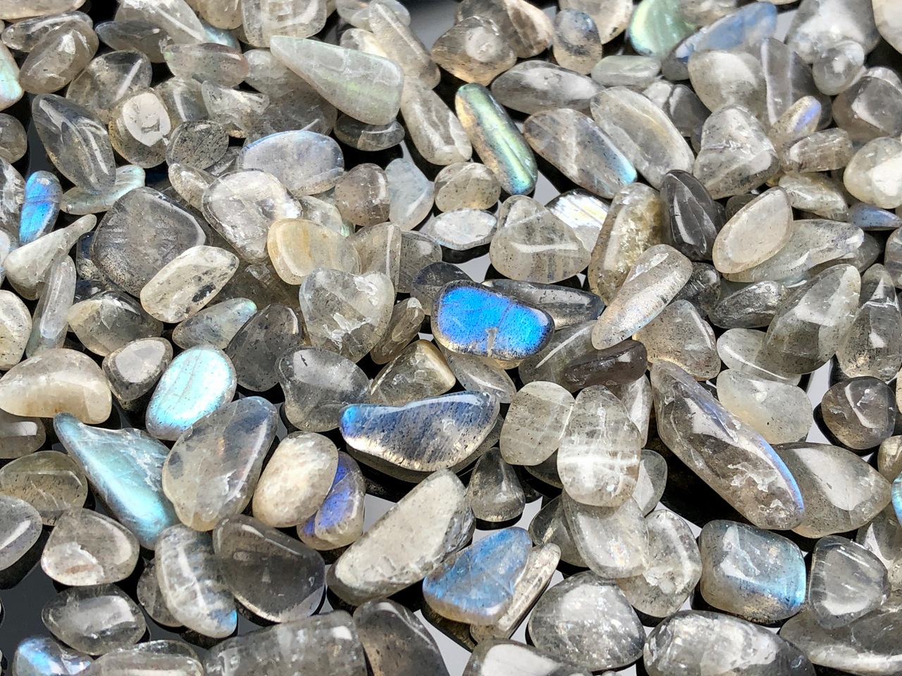 ���̸������١�������ξ����֥�ɥ�å��󥹡�ŷ���Ф�������å�/��֥�ɥ饤�ȡ�Labradorite/�⳥Ĺ�С�/L������/1kg/γ��������5-15mm��ŷ����/�ѥ���ȡ���ۡڥ���ꥫ�ġ����󡦹��Ÿ�����������Ͻ�Ÿ���㤤�դ���