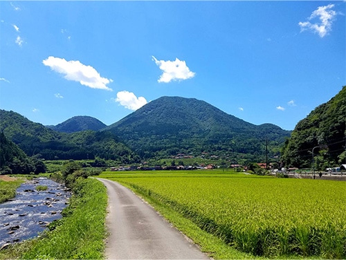 松永和牛すき焼き800g
