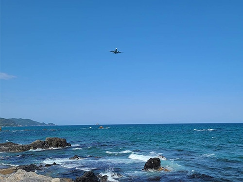 松永和牛すき焼き800g