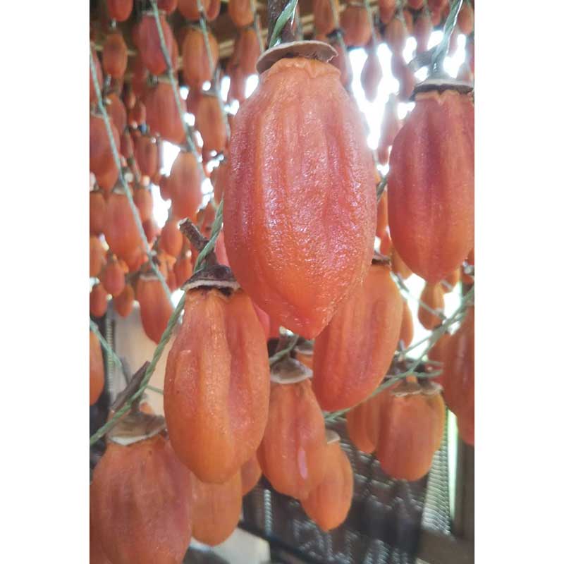 西条柿のつるし柿