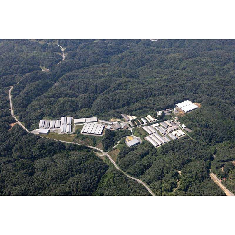 松永和牛切り落とし300ｇ