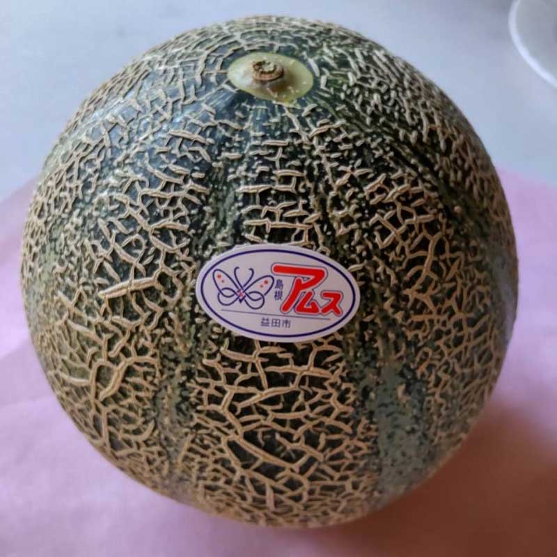 益田産アムスメロン　2玉