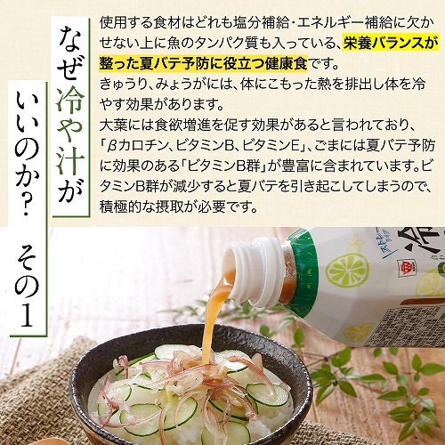 【6月~8月限定 / 送料無料】ゆず香るストレート冷や汁の素 1ケース(500ml×12本)