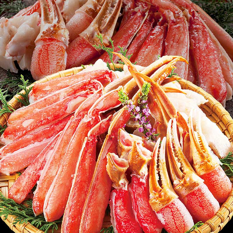 【特大3L超！】カット済み生本ずわい蟹 1.2kg(総重量1.4kg)