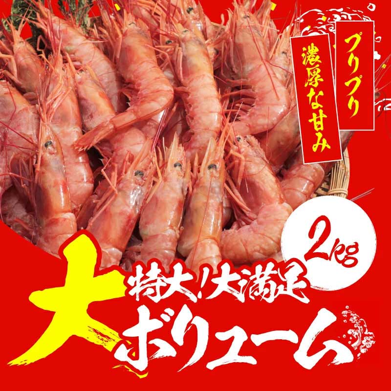 メガ盛！特大天然赤えび 2kg 約50～60尾入り | すべての商品 | 越前か